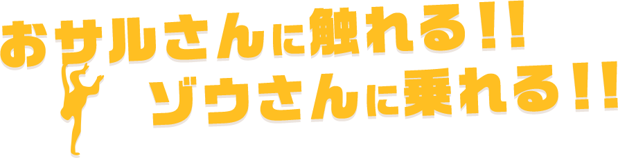 おサルさんに触れる！！ゾウさんに乗れる！！